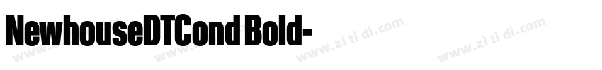 NewhouseDTCond Bold字体转换
